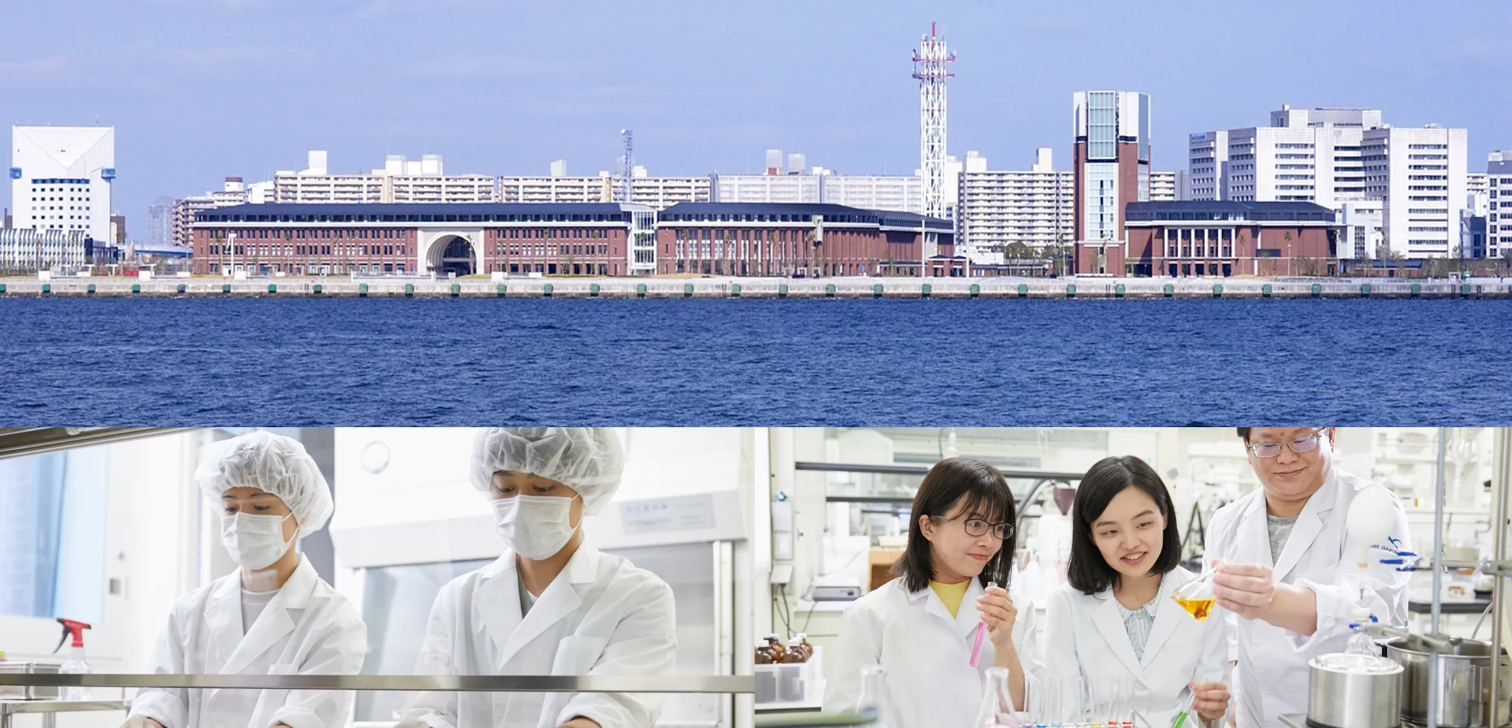 写真:海の先に見える校舎、白衣姿で研究している生徒たちと教員